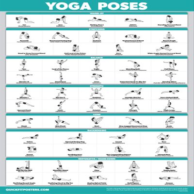Palace Learning QuickFit Yoga Position Exercise Poster - Yoga Asana Poses Chart - Laminated, 18" x 24"