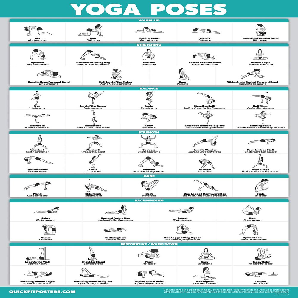 Palace Learning QuickFit Yoga Position Exercise Poster - Yoga Asana Poses Chart - Laminated, 18" x 24"