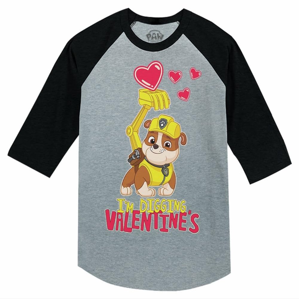 Toddler Boys Valentine Shirts Outfit Paw Patrol Kids T-Shirts 4T Dark Gray
