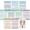 10 Pack - Exercise Workout Poster Set - Dumbbell, Suspension, Kettlebell, Resistance Bands, Stretching, Bodyweight, Barbell, Yoga Poses, Exercise Ball, Muscular System Chart (LAMINATED,18" x 24") view 1