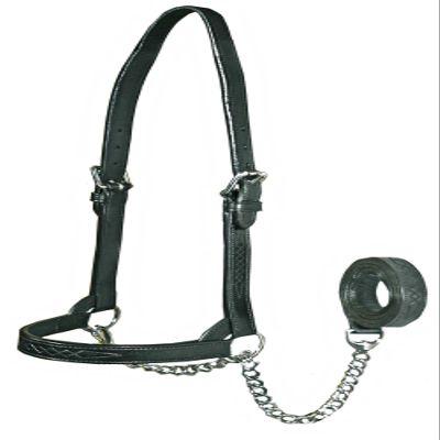 Derby Originals New and Improved Premium Flat Fancy Stitch Leather Cattle Show Halter with Matching Chain Lead
