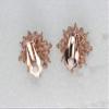 Faship Gorgeous Smoked Topaz Rhinestone Crystal Floral Clip On Style Earrings - Smoked Topaz view 2