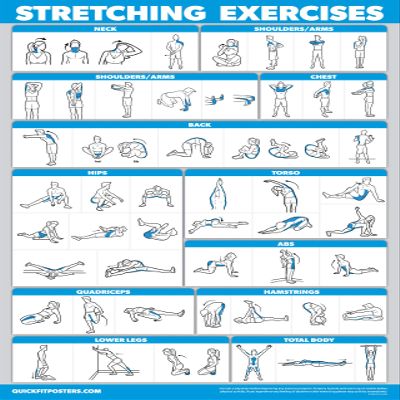 Palace Learning QUICKFIT Stretching Workout Exercise Poster - Stretch Routine (Laminated, 18" x 24")