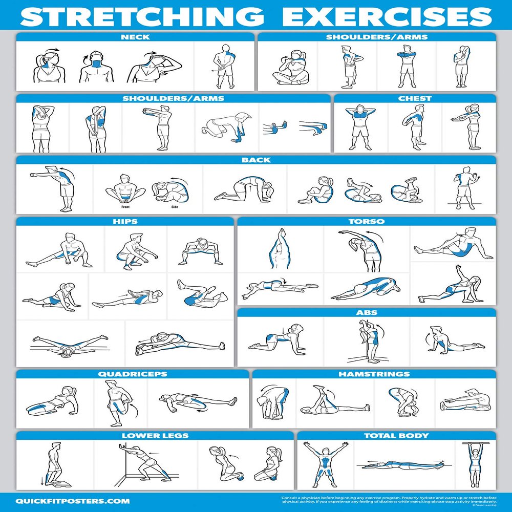 Palace Learning QUICKFIT Stretching Workout Exercise Poster - Stretch Routine (Laminated, 18" x 24")