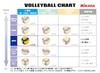 Mikasa V330W Volleybal Ball Blue Yellow 5 view 2
