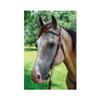 Circle Y Infinity Wrap Bead Browband Headstall for Horse, Sunset view 2