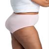 Fruit Of The Loom Womens Fit For Me Plus Size Underwear, Designed To Your Curves Briefs, Brief - Breathable Micro Mesh - Assorted, 12 Plus view 3