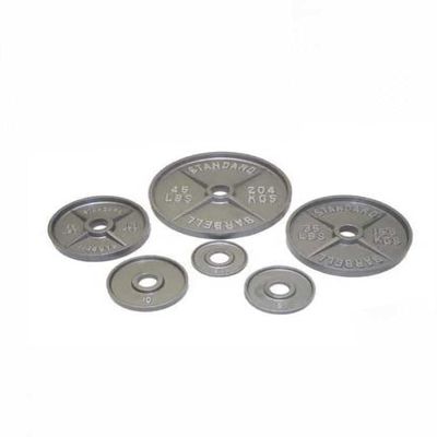 Ader Grey Olympic Weight Wide Lip Thick Lip Plates (10)