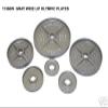 Ader Grey Olympic Weight Wide Lip Thick Lip Plates (10) view 2