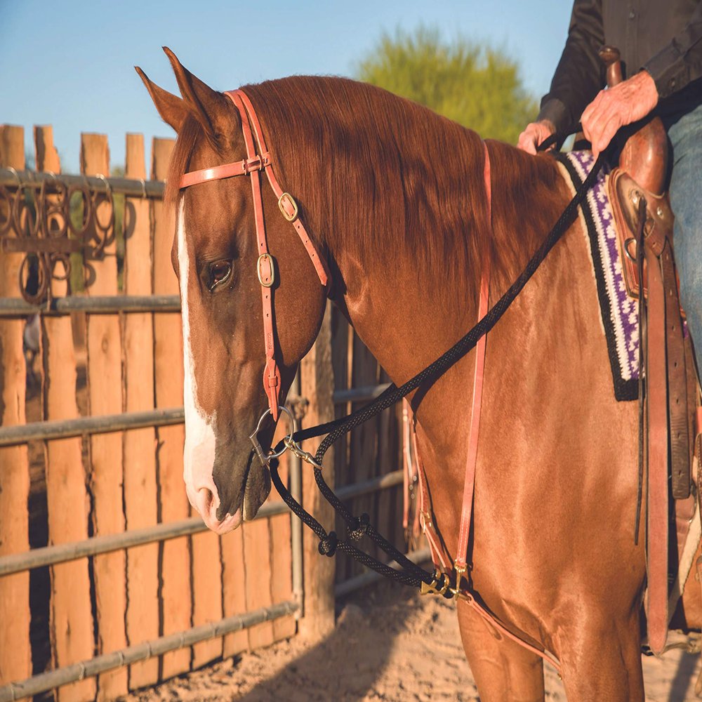 PROFESSIONAL'S CHOICE Ad Draw Rope Martingale, Black, 0 (AD8062HL)