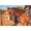PROFESSIONAL'S CHOICE Ad Draw Rope Martingale, Black, 0 (AD8062HL) view 2