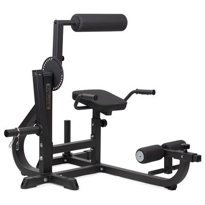 Titan Fitness Seated Ab/Back Extension Machine, Upper Body Abdominal Lower Back Machine, 220 LB Plate-Loaded Capacity, Core and Strength Training Workouts, Home Gym Machine