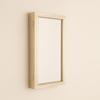 Hives and Honey - Nicolette Jewelry Organizer Storage Mirror, Champagne view 2
