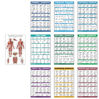 10 Pack - Exercise Workout Poster Set - Dumbbell, Suspension, Kettlebell, Resistance Bands, Stretching, Bodyweight, Barbell, Yoga Poses, Exercise Ball, Muscular System (PAPER, NON LAMINATED,18" x 24")