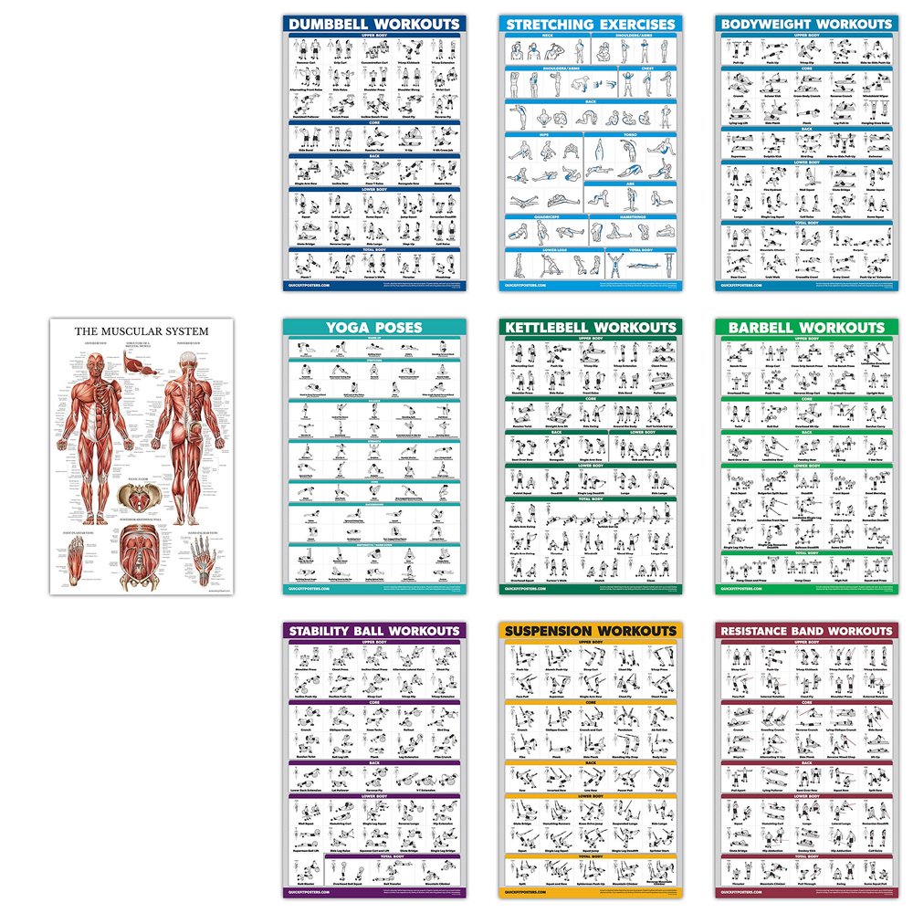 10 Pack - Exercise Workout Poster Set - Dumbbell, Suspension, Kettlebell, Resistance Bands, Stretching, Bodyweight, Barbell, Yoga Poses, Exercise Ball, Muscular System (PAPER, NON LAMINATED,18" x 24")