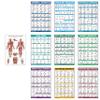 10 Pack - Exercise Workout Poster Set - Dumbbell, Suspension, Kettlebell, Resistance Bands, Stretching, Bodyweight, Barbell, Yoga Poses, Exercise Ball, Muscular System (PAPER, NON LAMINATED,18" x 24") view 1