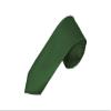 Romario Manzini Solid Color Boy's Necktie (Forest Green) view 1