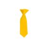 Romario Manzini Solid Color Boy's 8" Clip On Tie (Golden Yellow) view 1
