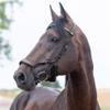 HORZE Stewart Anatomical Bridle - Dark Brown - Pony view 2