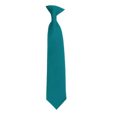 Romario Manzini Solid Color Boy's 14" Clip On Tie Age 7 to 10 Years Old (Oasis)