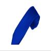 Romario Manzini Solid Color Boy's Necktie (Royal Blue) view 1