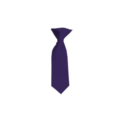 Romario Manzini Solid Color Boy's 8" Clip On Tie (Eggplant)