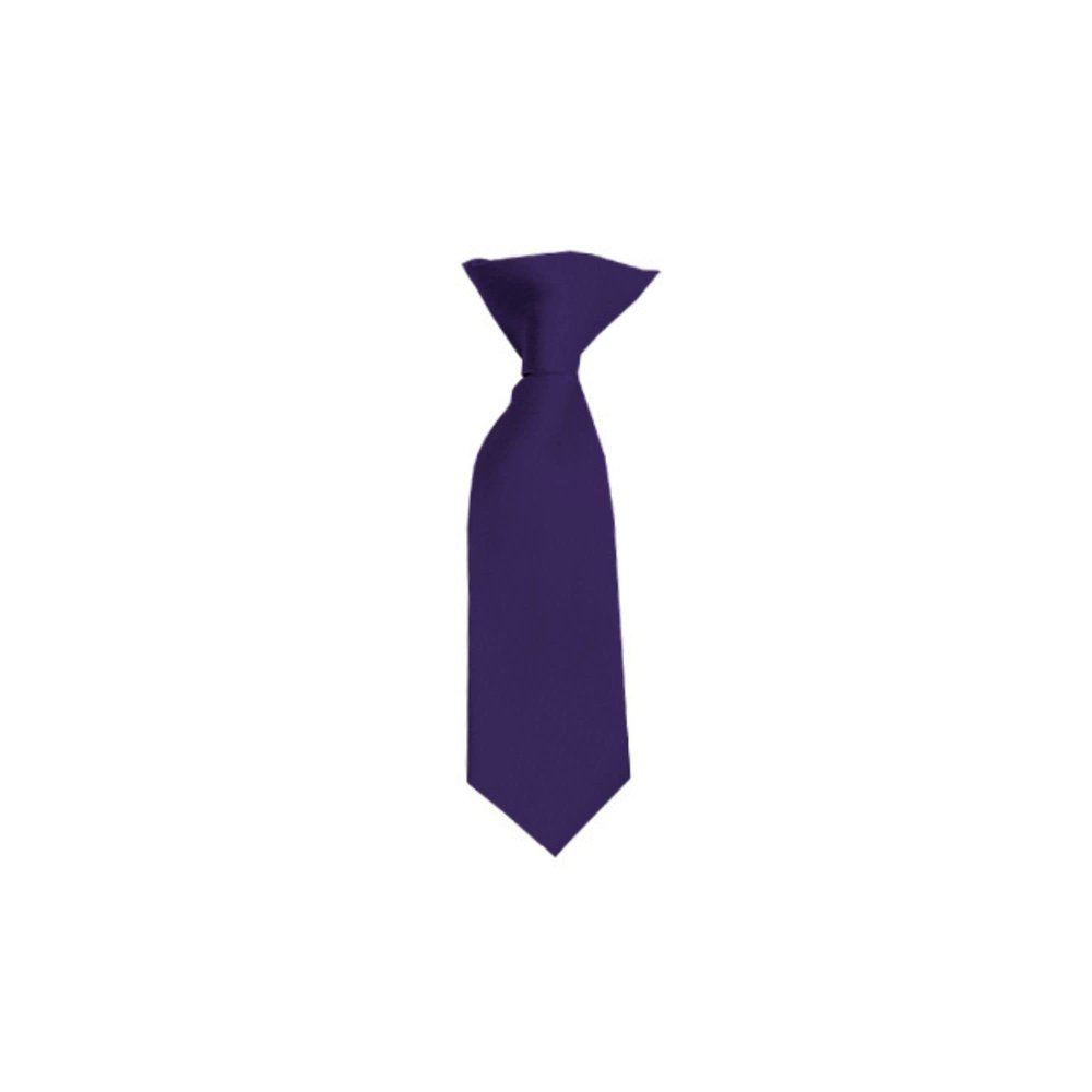 Romario Manzini Solid Color Boy's 8" Clip On Tie (Eggplant)