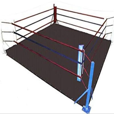 MMA Floor Ring Canvas Mat - For Wrestling,Boxing,Gymnastics & Martial Arts (Black Canvas, 12 X 12)