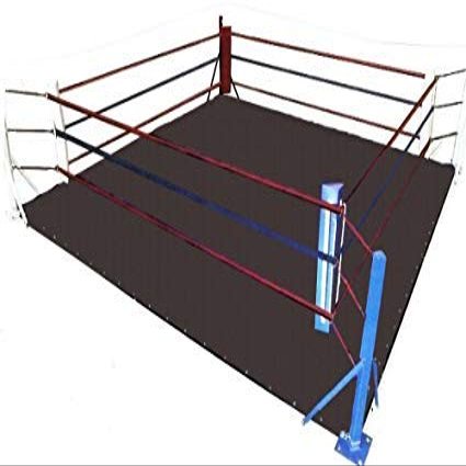 MMA Floor Ring Canvas Mat - For Wrestling,Boxing,Gymnastics & Martial Arts (Black Canvas, 12 X 12)