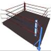 MMA Floor Ring Canvas Mat - For Wrestling,Boxing,Gymnastics & Martial Arts (Black Canvas, 12 X 12) view 1