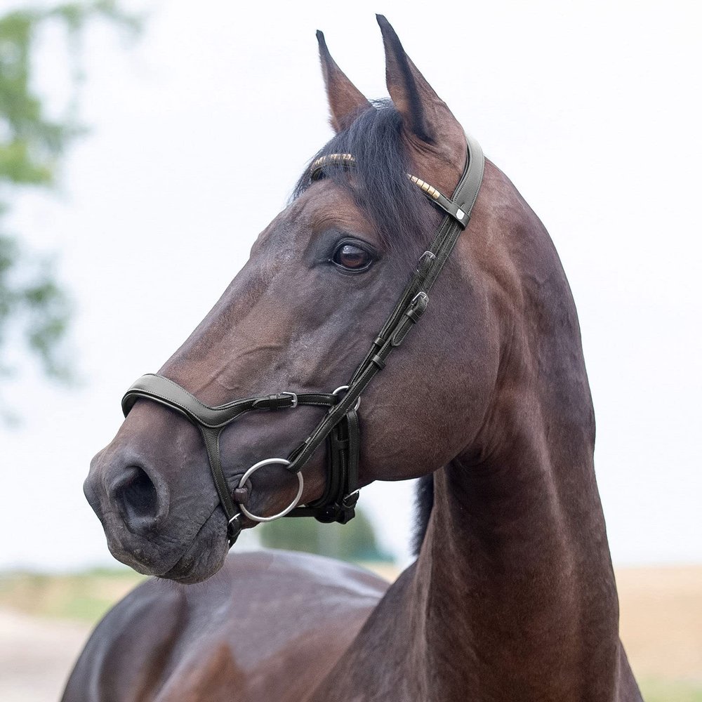 HORZE Stewart Anatomical Bridle - Black - Horse