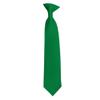 Romario Manzini Solid Color Boy's 14" Clip On Tie Age 7 to 10 Years Old (Kelly Green) view 1