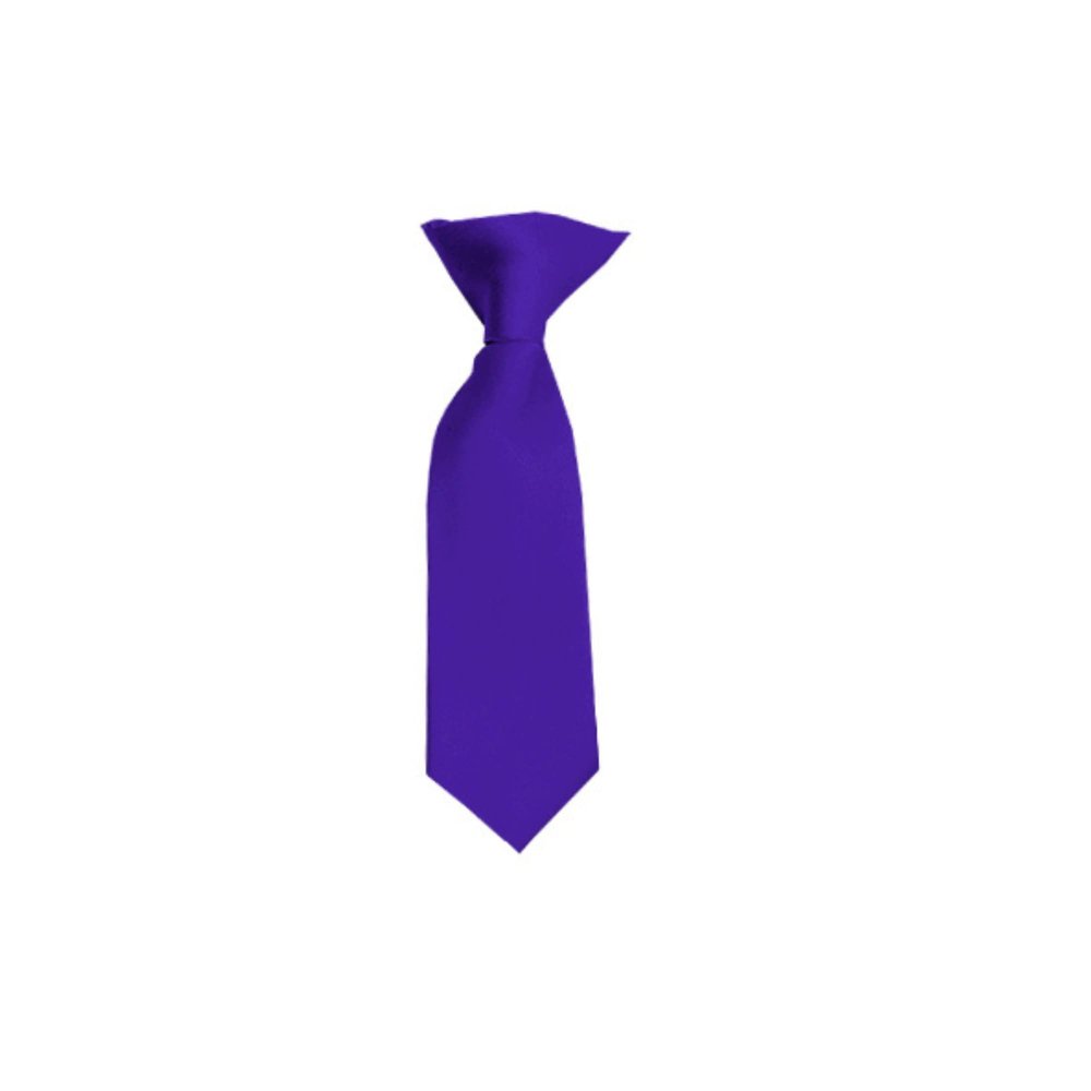Romario Manzini Solid Color Boy's 8" Clip On Tie (Deep Purple)