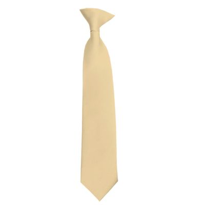Romario Manzini Solid Color Boy's 14" Clip On Tie Age 7 to 10 Years Old (Beige)