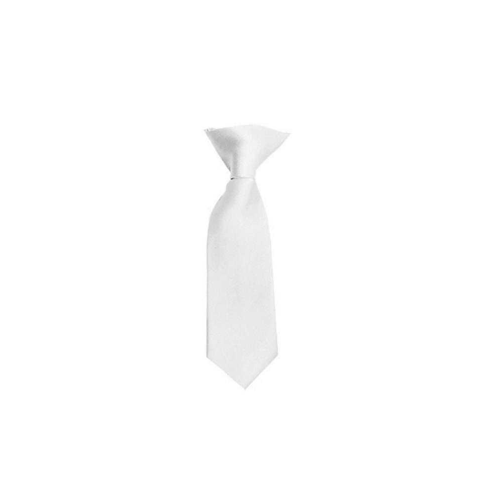 Romario Manzini Solid Color Boy's 8" Clip On Tie (White)