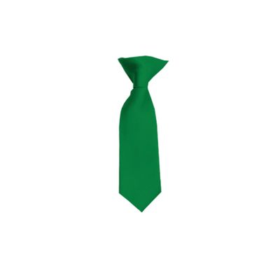 Romario Manzini Solid Color Boy's 8" Clip On Tie (Kelly Green)