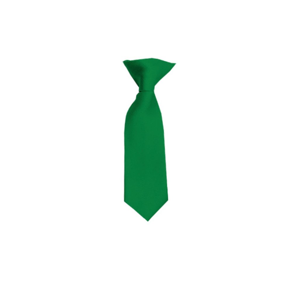 Romario Manzini Solid Color Boy's 8" Clip On Tie (Kelly Green)