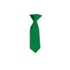 Romario Manzini Solid Color Boy's 8" Clip On Tie (Kelly Green) view 1