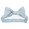 Romario Manzini Solid Men's Pre-Tied Bow Tie (Sky Blue) view 2