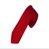 Romario Manzini Solid Color Boy's Necktie (Crimson) view 1