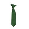 Romario Manzini Solid Color Boy's 11" Clip On Tie Age 3 to 6 Years Old (Forest Green) view 1