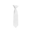Romario Manzini Solid Color Boy's 11" Clip On Tie Age 3 to 6 Years Old (White) view 1