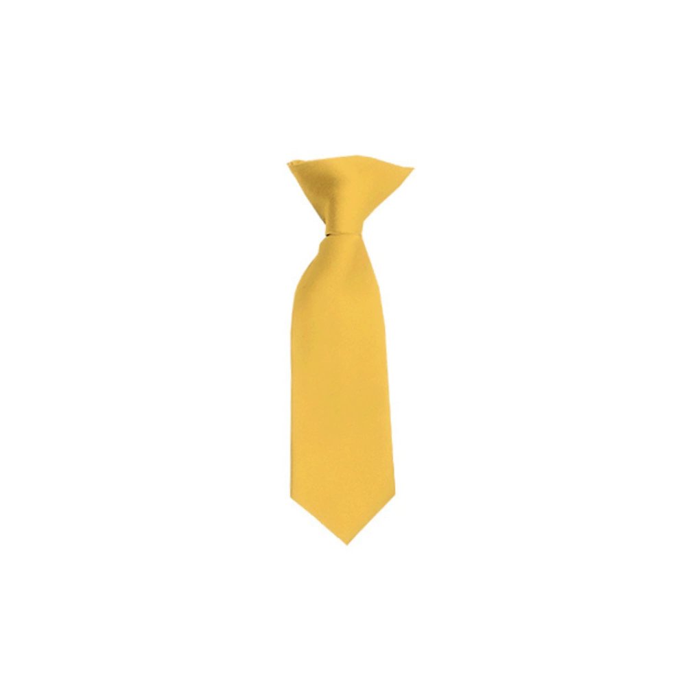Romario Manzini Solid Color Boy's 8" Clip On Tie (Honey Gold)