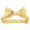 Romario Manzini Solid Men's Pre-Tied Bow Tie (Baby Yellow) view 2
