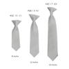 Romario Manzini Solid Color Boy's 8" Clip On Tie (Silver) view 2