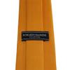 Romario Manzini Solid Color Boy's Necktie (Gold) view 2