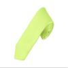Romario Manzini Solid Color Boy's Necktie (Apple Green) view 1