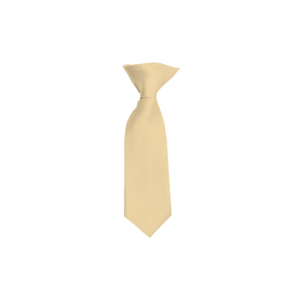 Romario Manzini Solid Color Boy's 8" Clip On Tie (Beige)