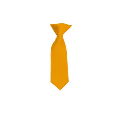 Romario Manzini Solid Color Boy's 8" Clip On Tie (Gold Bar)