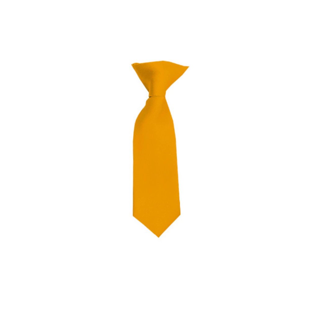 Romario Manzini Solid Color Boy's 8" Clip On Tie (Gold Bar)